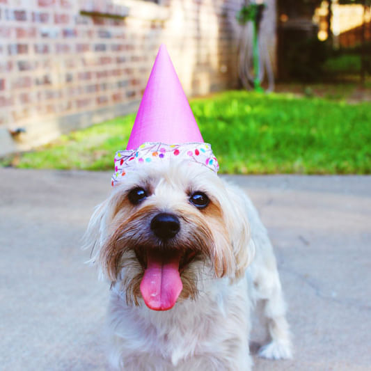 Geburtstag