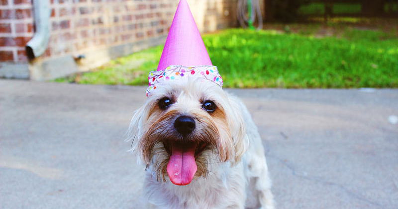 Happy Birthday: Wir zeigen dir, wo du an deinem Geburtstag ordentlich abstauben kannst!
