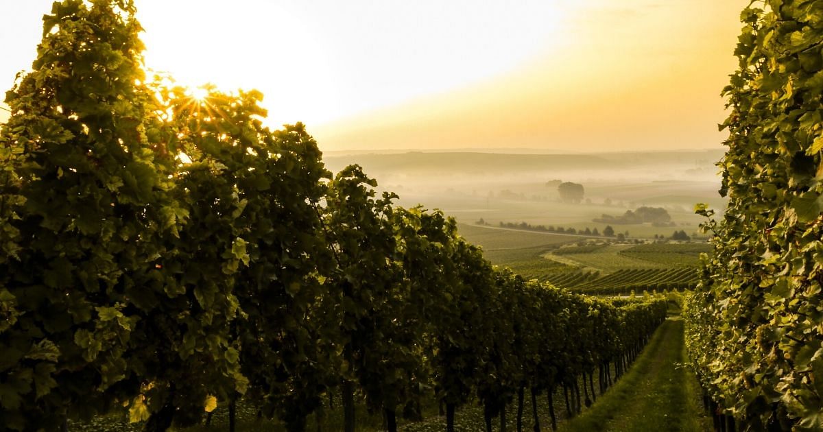 Wohnbeihilfe Burgenland