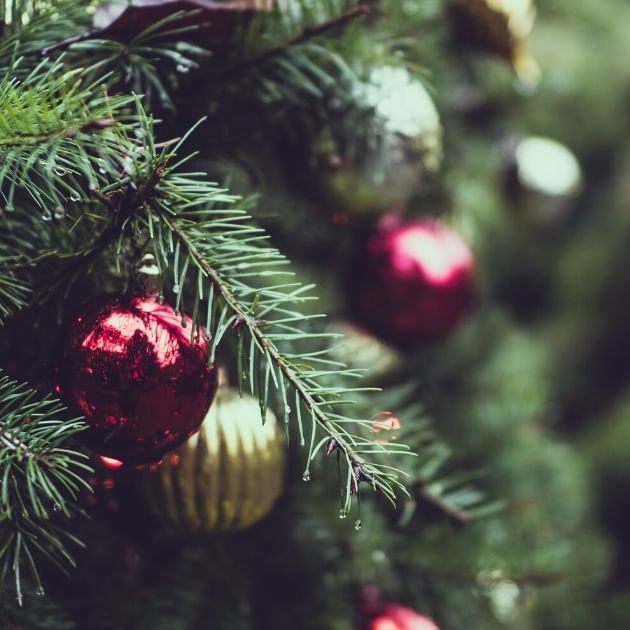 Plastikfreies Weihnachten: Weniger ist manchmal mehr.