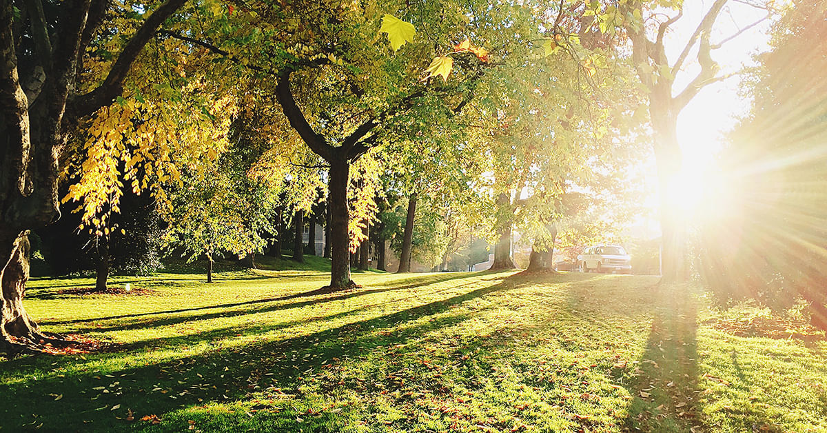 Lernparadiese in Innsbruck hofgarten