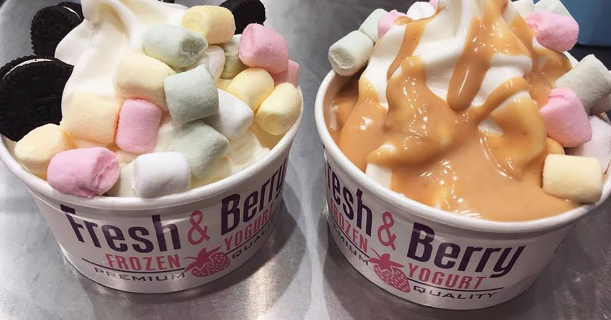 fresh and berry frozen yogurt