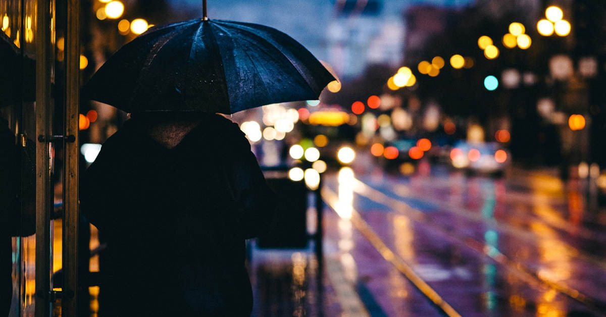 Herbst-Programm