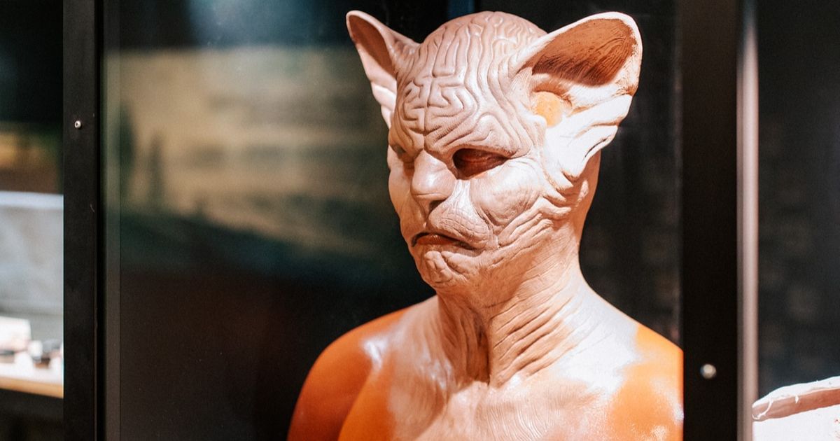 SPECIAL EFFECTS Ausstellung