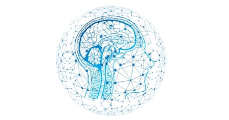 Mein Erstes Semester Psychologie An Der Universitat Klagenfurt Iamstudent