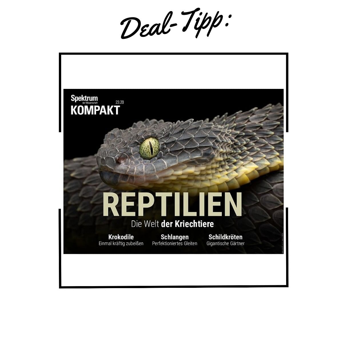 Spektrum der Wissenschaft: Reptilien für nur 3,34€!