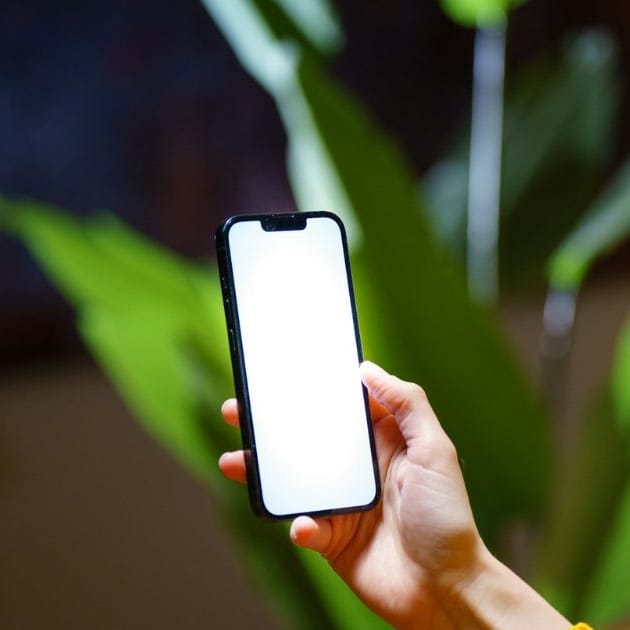 Die besten Studenten-Apps!